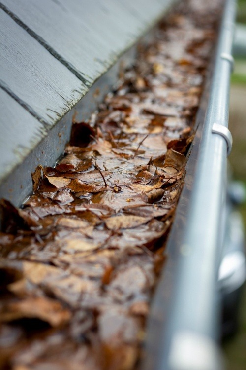 unblock gutters Scarborough