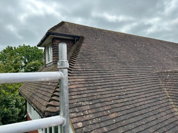 roof cleaning