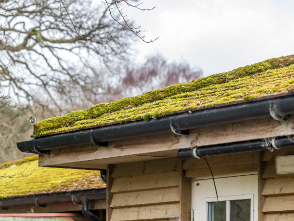 roof cleaning