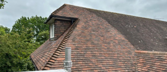 roof cleaning