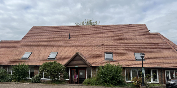 roof cleaning