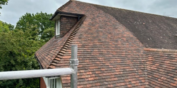roof cleaning